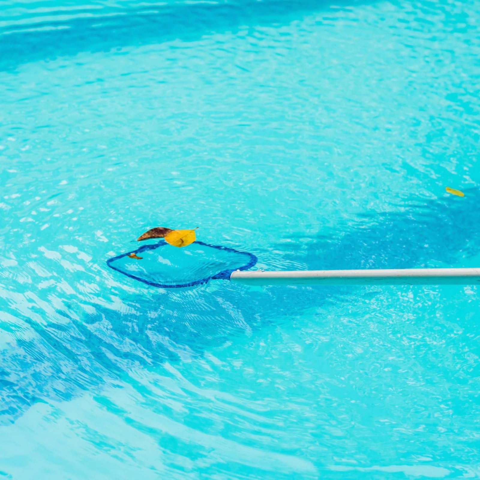 Afneembaar zwembadbladnet Eenv - Pool Skimmer Net recensie en prijs